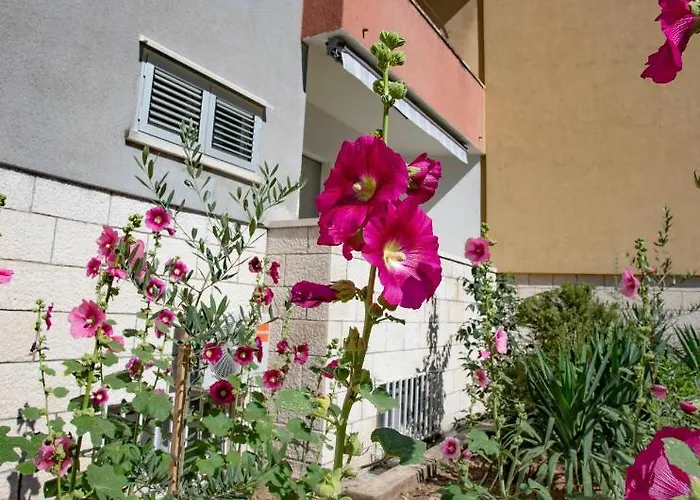 Apartman Nook Bb Split